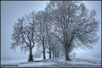 A-norwegian-winter-painting