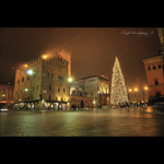Bologna-at-christmas