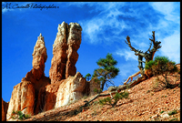 Bryce-canyon