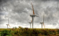 Hawaiian-windmills