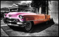 Pink-ladies-car