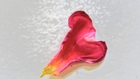 Heart-shaped