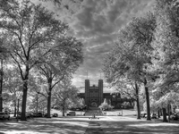 Washington-university-st-louis-missouri