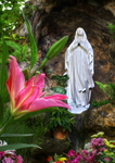 Hail-mary