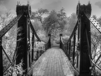 Forest-park-bridge