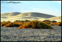 Miraggio-nella-death-valley-n-2