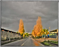 Dopo-il-temporale