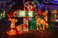 North-pole