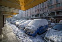 Bnow-in-bologna-