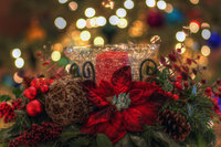 -tis-the-season