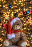 Christmas-bear