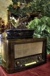 Old-voices-in-the-garden