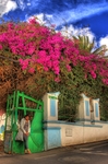 Colourful-thoughts