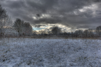 First-snow
