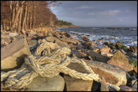 The-rope