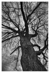 Reaching-for-winter-part-2