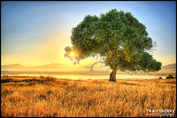 Sunrise-solitude-