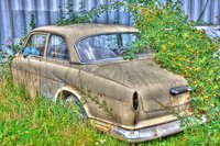 Volvo-amazon