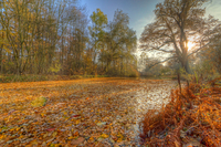 Autumn-haze-on-the-pond