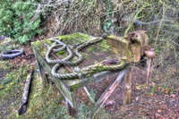 Money-for-old-rope