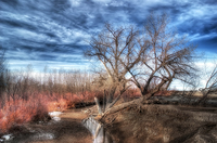 Muddy-creek