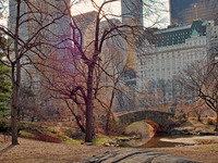 Autumn-in-central-park-ny