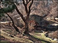 Ponticello