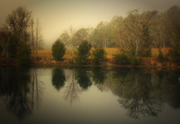 Peaceful-reflections
