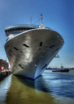 Cruise