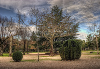 In-a-park-in-january