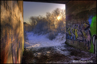 Urban-nature-part-2