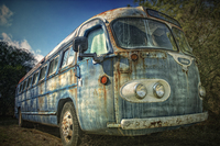 Get-on-the-bus-