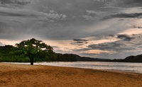 In-the-beach