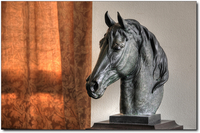 A-horse