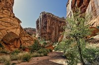 Spring-creek-canyon