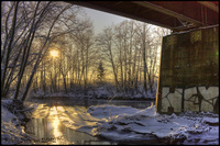 Urban-nature-part-4