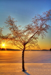 Finnish-sunset