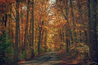 Autumn-in-the-mountians-