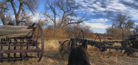A-curious-discovery-