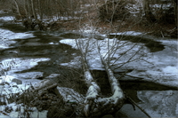 The-stream