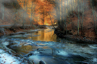 Winter-morning