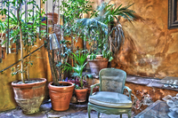 Corner-of-garden