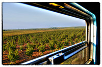 Landscape-in-motion