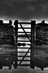 Reflective-gate
