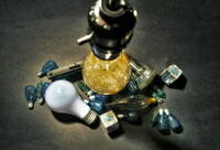 Bulbs