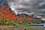 Brewing-fall-storm