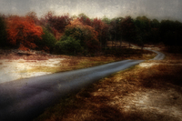 Fall-country-road-texturized