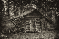 Log-cabin-in-the-woods