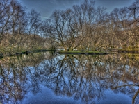 Reflections