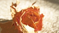 Rosemantic